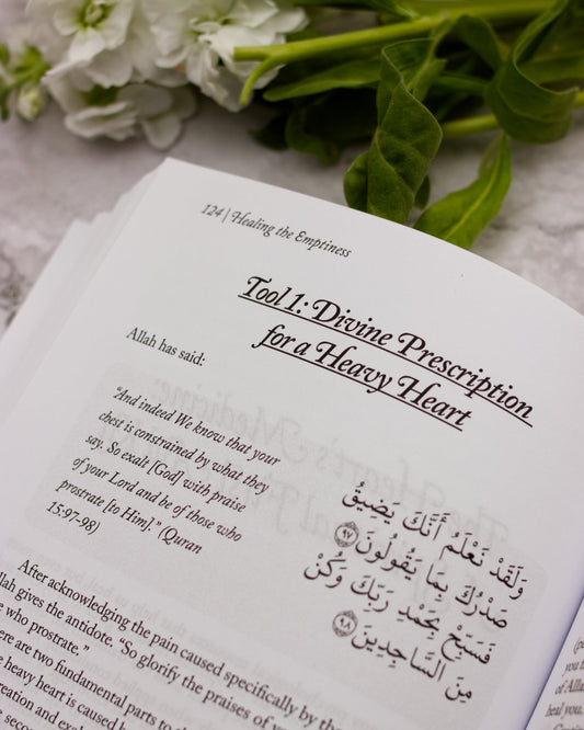 Healing the Emptiness: A Guide to Emotional and Spiritual Well-Being - Yasmin Mogahed