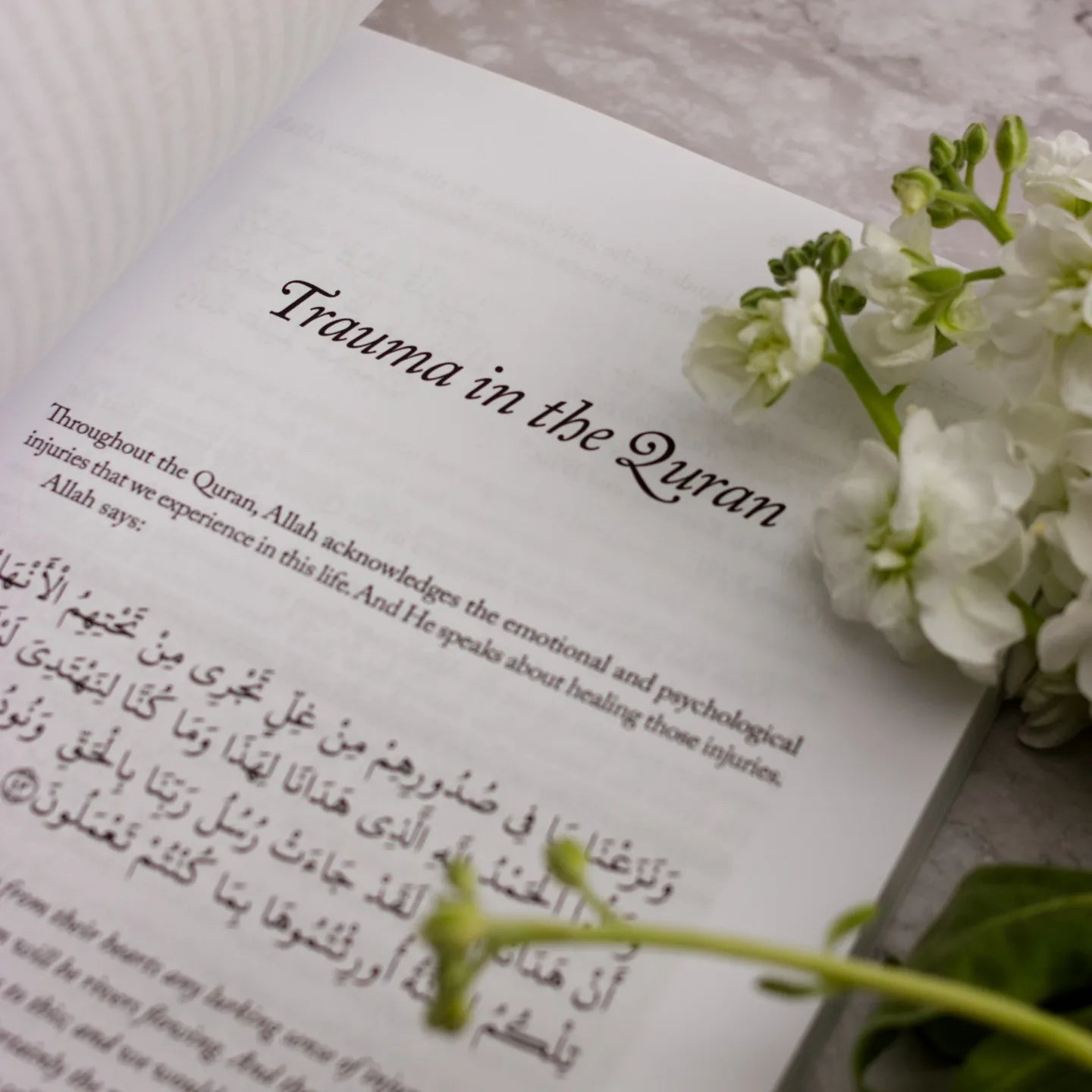 Healing the Emptiness: A Guide to Emotional and Spiritual Well-Being - Yasmin Mogahed
