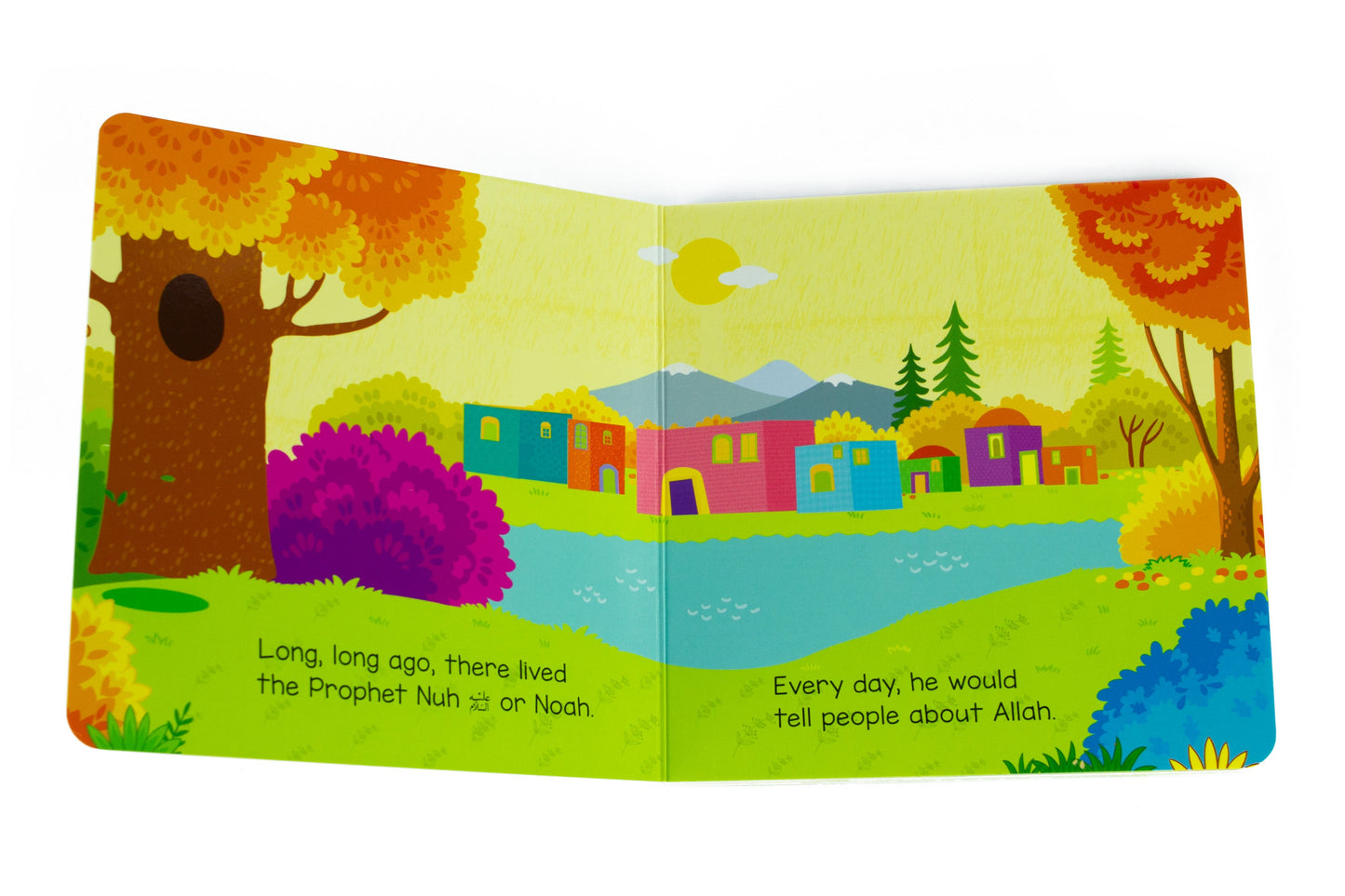 The Ark of Nuh Board Book